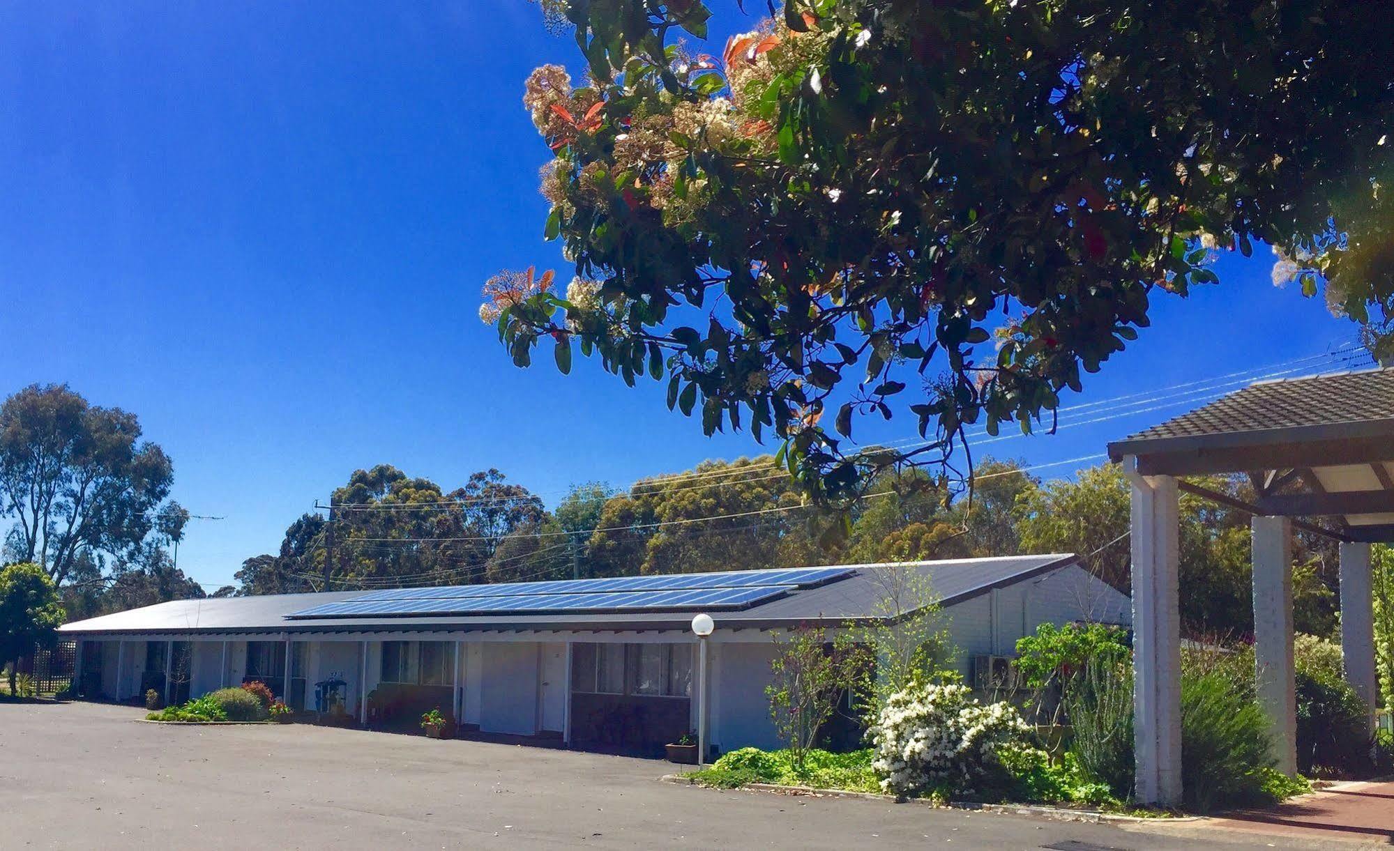 Manjimup Kingsley Motel Exterior foto